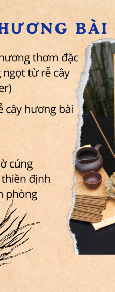 HƯƠNG BÀI