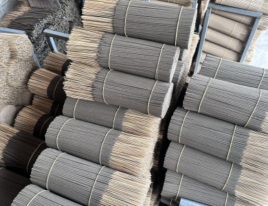 Nhang bồ kết Dương Minh 50 cây x 30cm – 100% tự nhiên, đuổi muỗi, tẩy uế, xông nhà